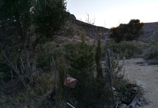 Imagen de la fosa en la que fueron hallados los cadáveres de las niñas de Alcàsser