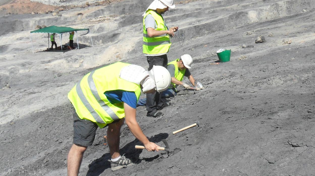 Paleontólogos trabajando en uno de los yacimientos de Teruel en los que se han hallado estos fósiles de pelos y plumas de hace entre 105 y 110 millones de años