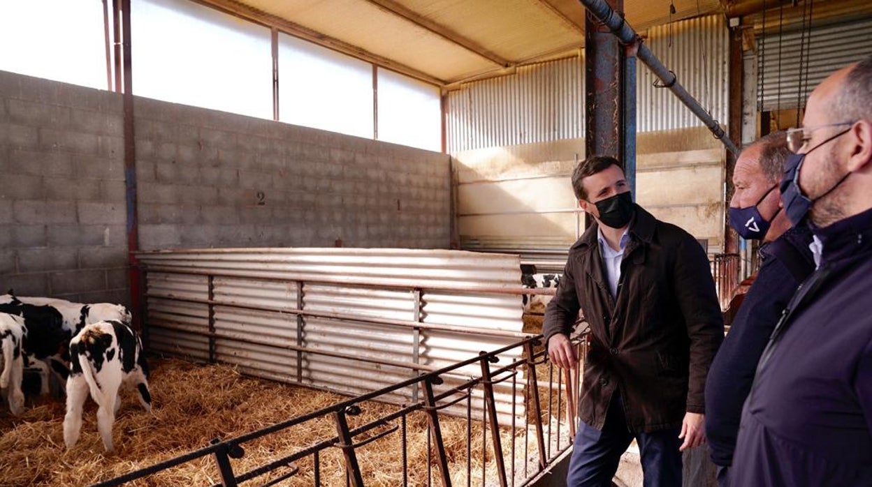 Pablo Casado ha visitado hoy una explotación ganadera en Alcarrás (Lérida)