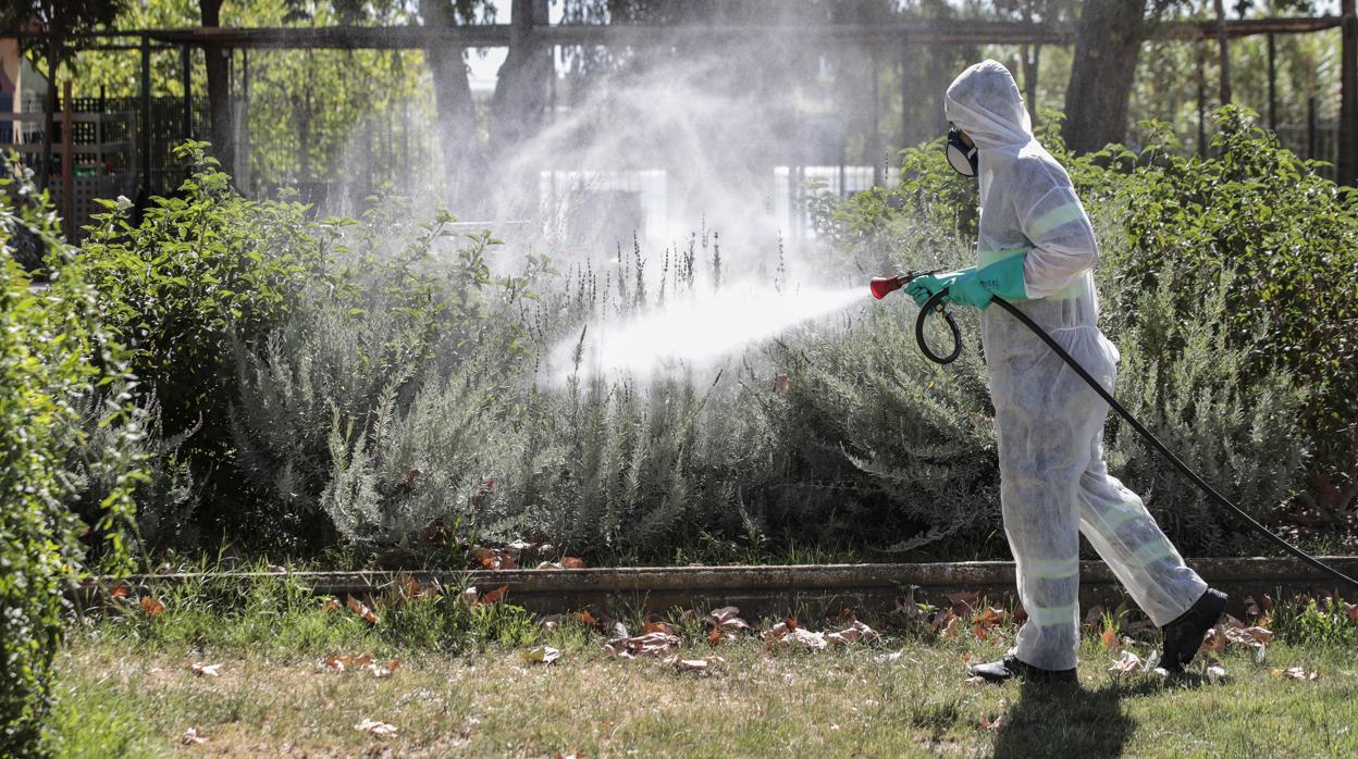 Imagen de los trabajos de fumigación en Coria del Río (Sevilla) el pasado mes de agosto tras la aparición de algunos casos de fiebre del Nilo