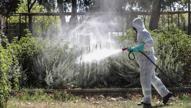 Detectan el primer foco de fiebre del Nilo en la Comunidad Valenciana