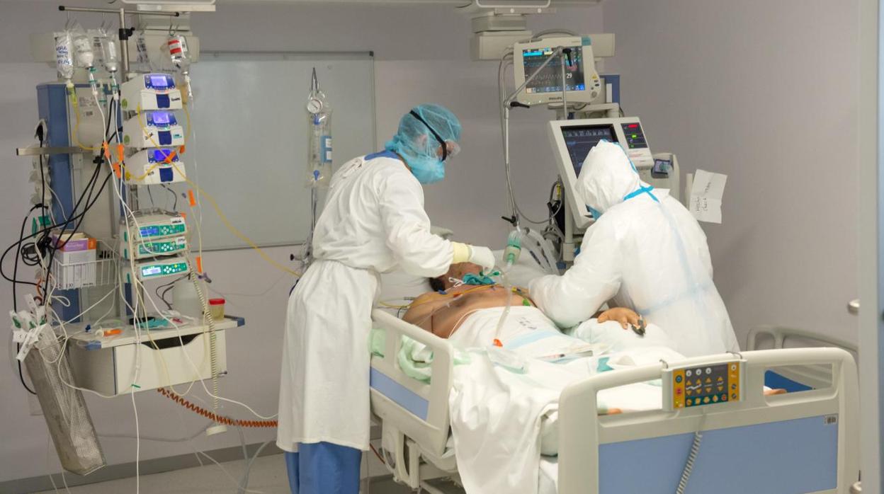 El número de hospitalizados en cama convencional por Covid-19 es 534.