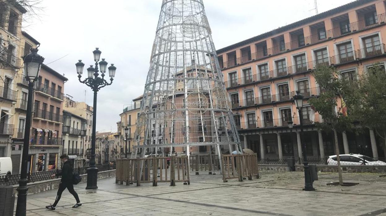 Árbol transitable situaco en la plaza de Zocodover