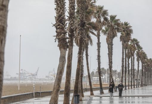 Imagen tomada este jueves en el Paseo Marítimo de Valencia