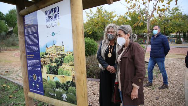 El barrio de La Legua cuenta con un nuevo bosque de mil pinos