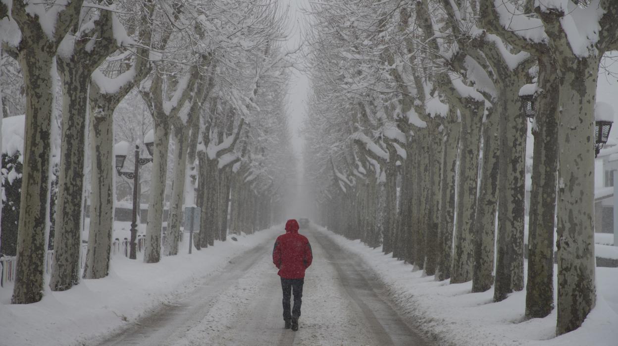 Temporal de nieve en Castilla y León, en una imagen de archivo