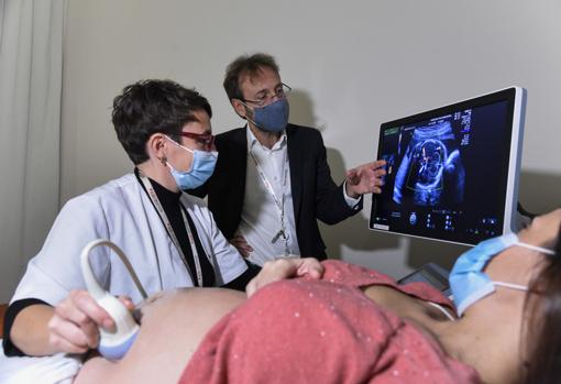 El doctor Eduard Gratacós durante la investigación del proyecto