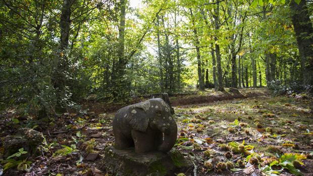 La Honfría, un bosque de leyenda en la Sierra de las Quilamas (Salamanca)