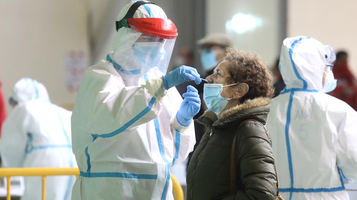 Cribado masivo en Ciudad Rodrigo (Salamanca) este fin de semana