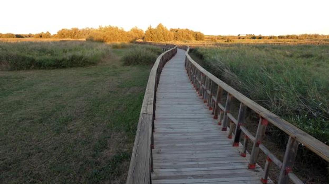 Las Tablas de Daimiel se encuentran en una situación grave de sequía