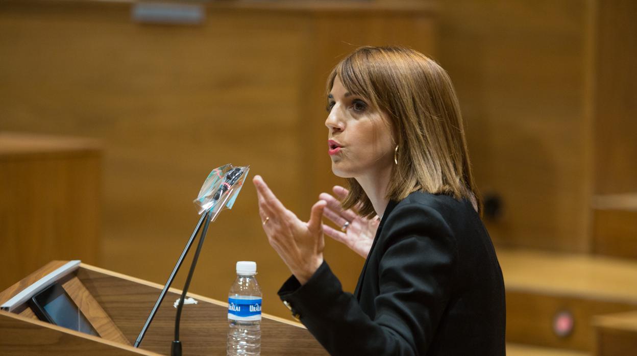 La parlamentaria de Navarra Suma, María Jesús Valdemoros defendiendo la enmienda.