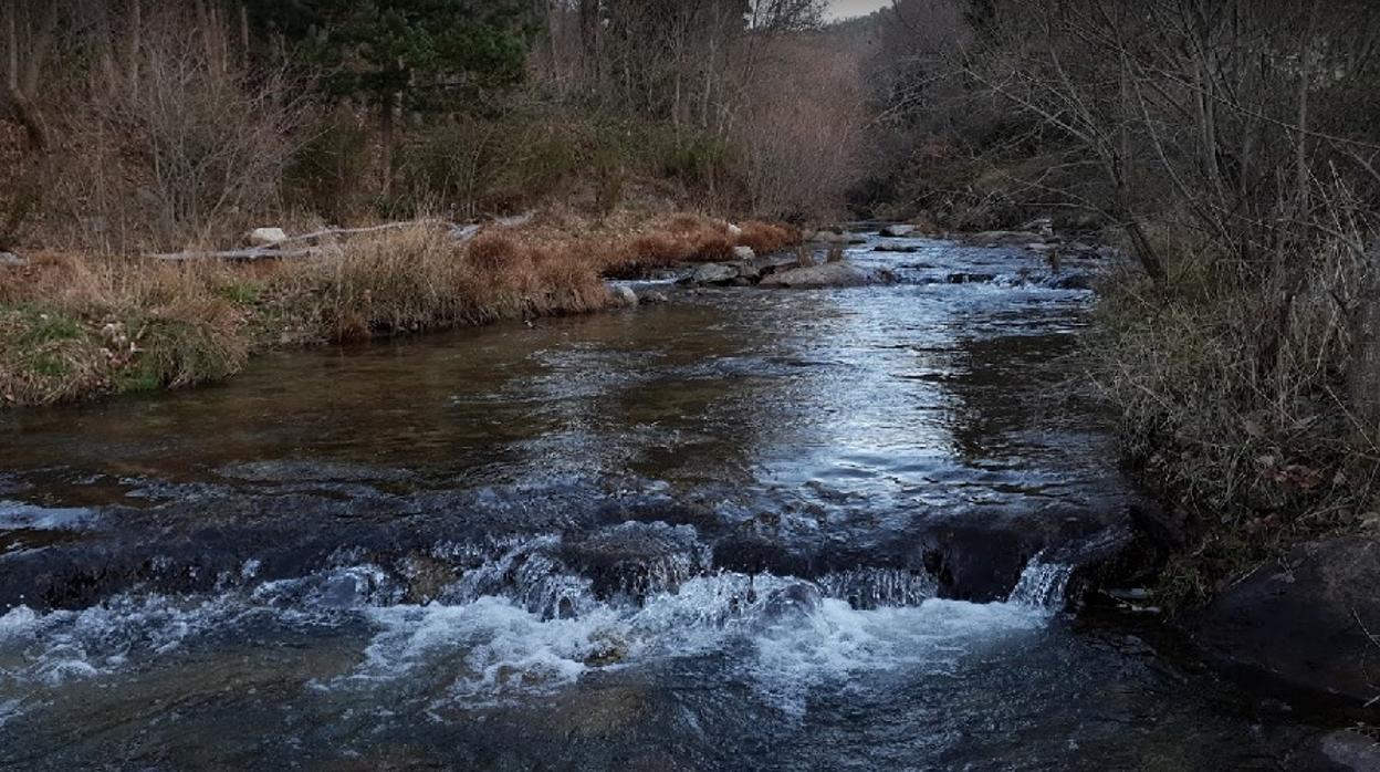 Río Corneja en el tramo en el que se busca a la mujer desaparecida