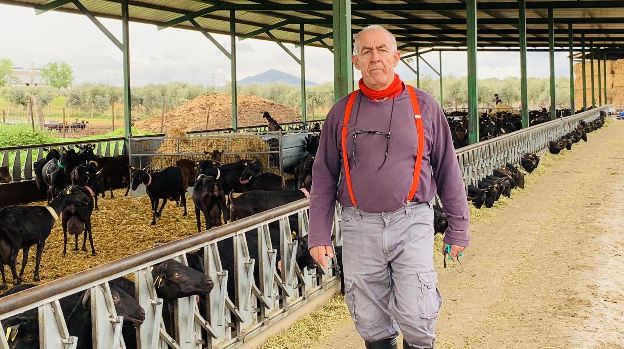 Adolfo Sánchez Escribano, en su explotación de cabras en Guadamur