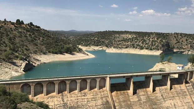 Piden cárcel para una mujer por ahogar a dos perros: los tiró a un pantano de Teruel con una piedra al cuello