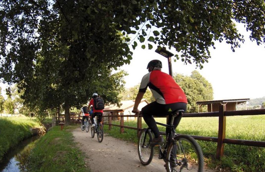 Los participantes podrán guardar sus tiempos en la aplicación móvil Strava