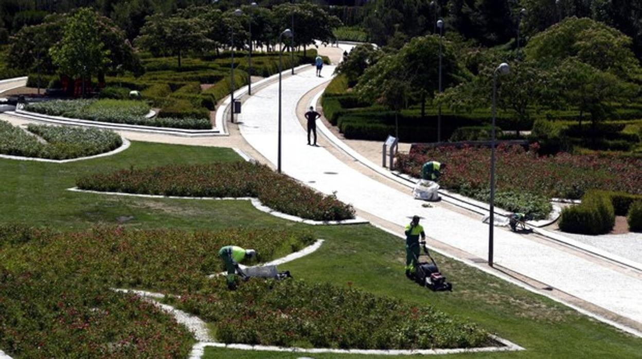 Operarios municipales cortan el cesped en un parque de Madrid