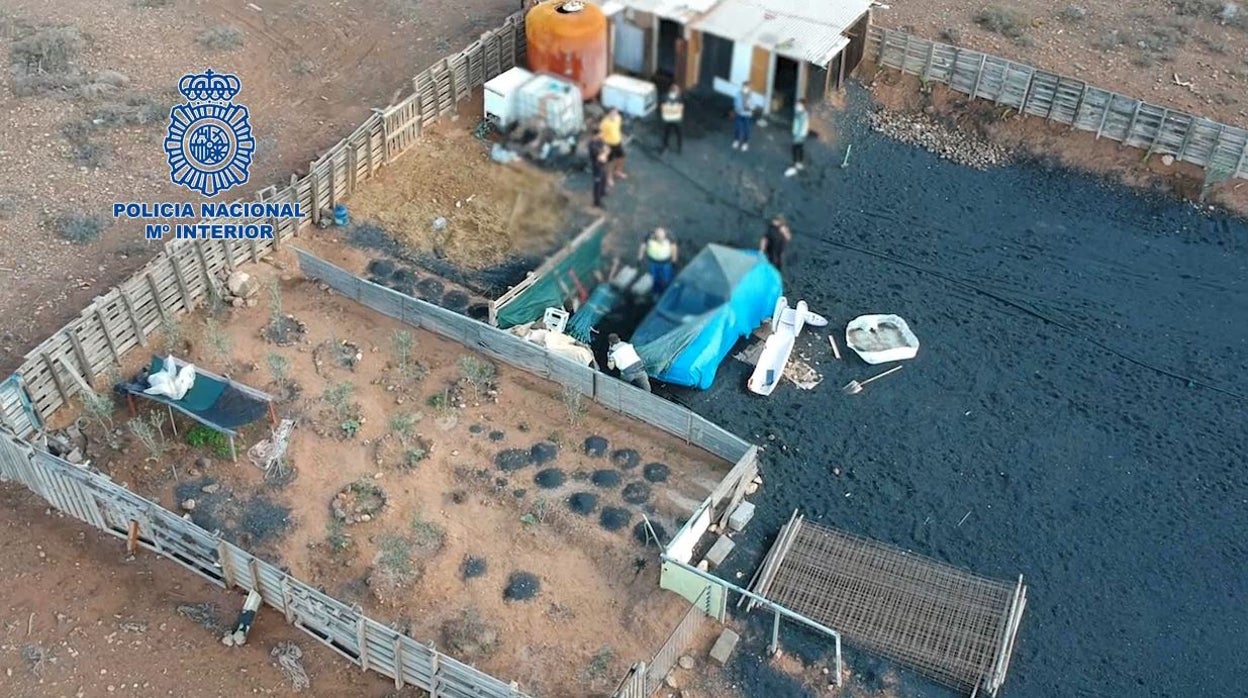 Imagen aérea de las detenciones de la organización