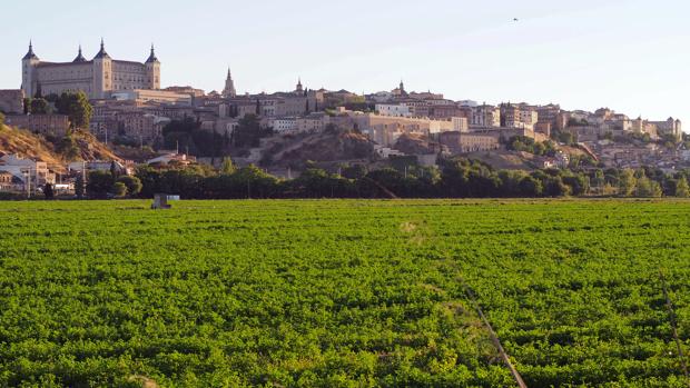 Huerta del Rey, Safont y Alta Velocidad Toledo-Oropesa