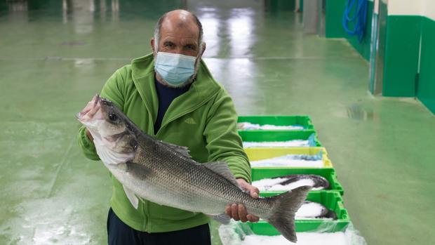 La Xunta apela al Gobierno para que la pesca no sea «moneda de cambio» en el acuerdo del Brexit