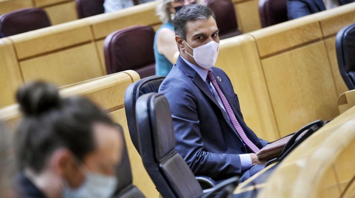 El presidente del Gobierno, Pedro Sánchez, en el Senado, donde compareció sobre la pandemia, mira a su vicepresidente segundo, Pablo Iglesias (septiembre)