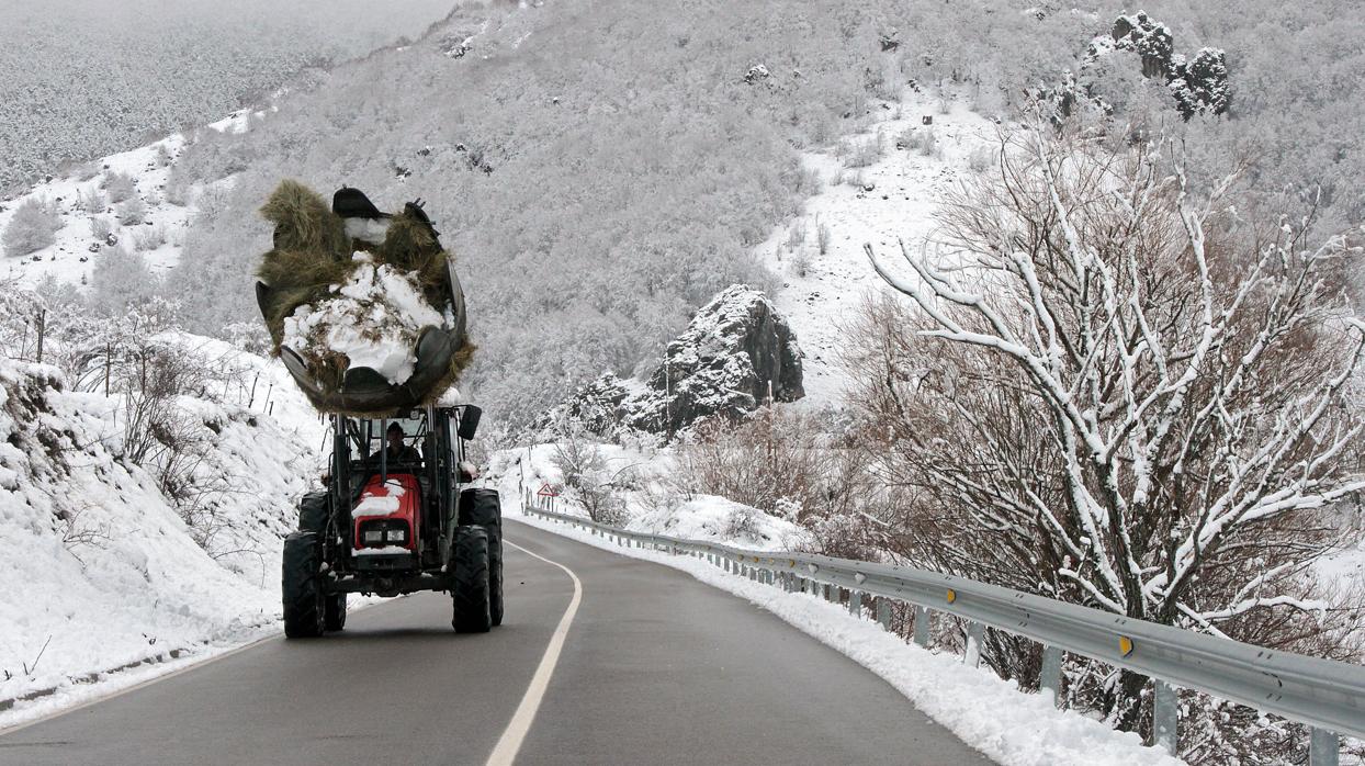 Seis provincias en alerta por intensas nevadas