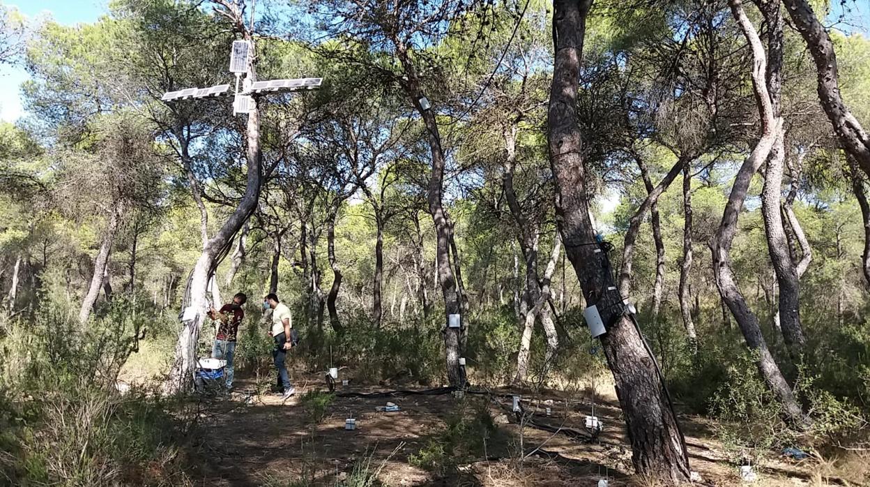 Imagen de la instalación de los sensores del proyecto Guardian de Hidraqua