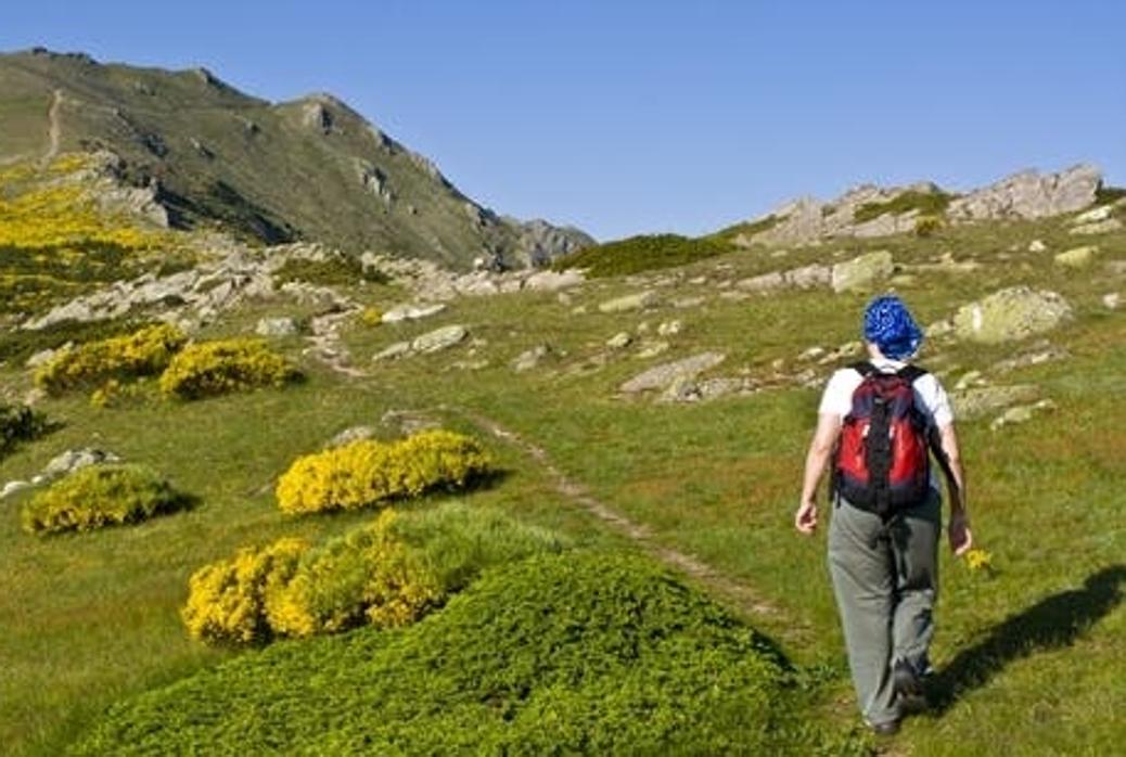 El Pico Cebollera se encuentra en el término municipal de El Cardoso de la Sierra