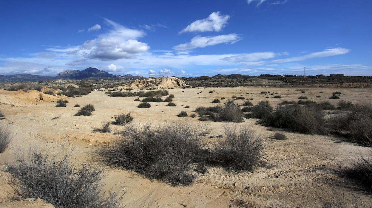 Imagen de tierras afectadas por la sequía en la provincia de Alicante