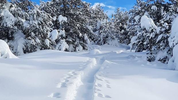 71 quitanieves vigilan las carreteras por nieve y hielo