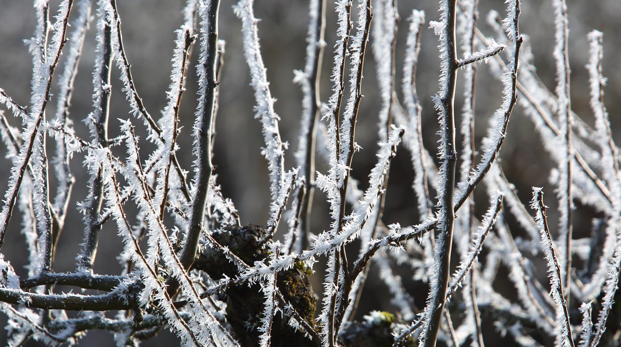 Villablino (León) registra la temperatura más baja de España con 13,7 grados bajo cero