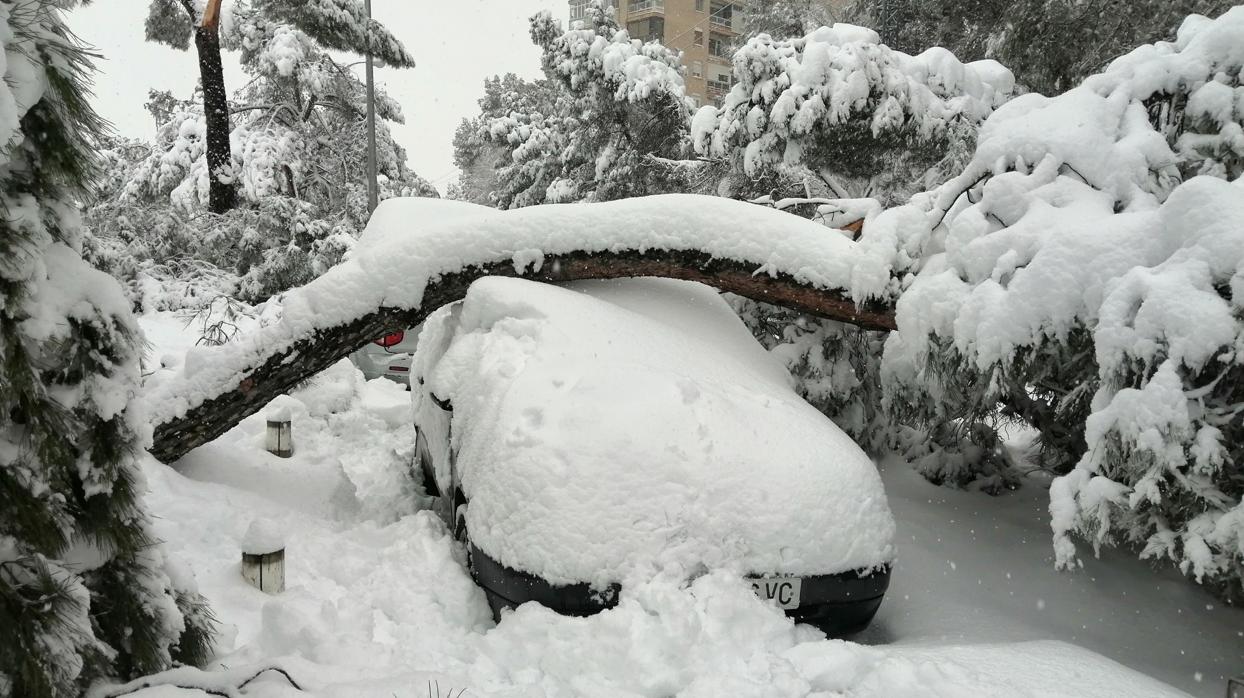 Un vehículo sepultado bajo la nieve y un árbol en Paseo de la Venta