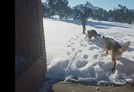 Aspecto de una vivienda de San Bernardo, aislada por la nieve