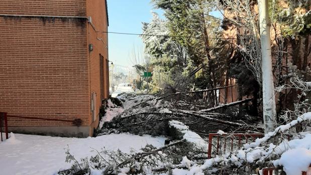 Así está el colegio Infantes por el temporal Filomena