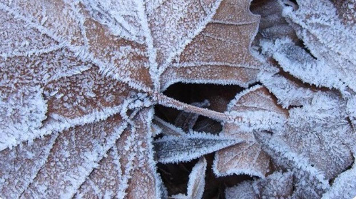 Valladolid marca una de las mínimas de España: -13,9 grados