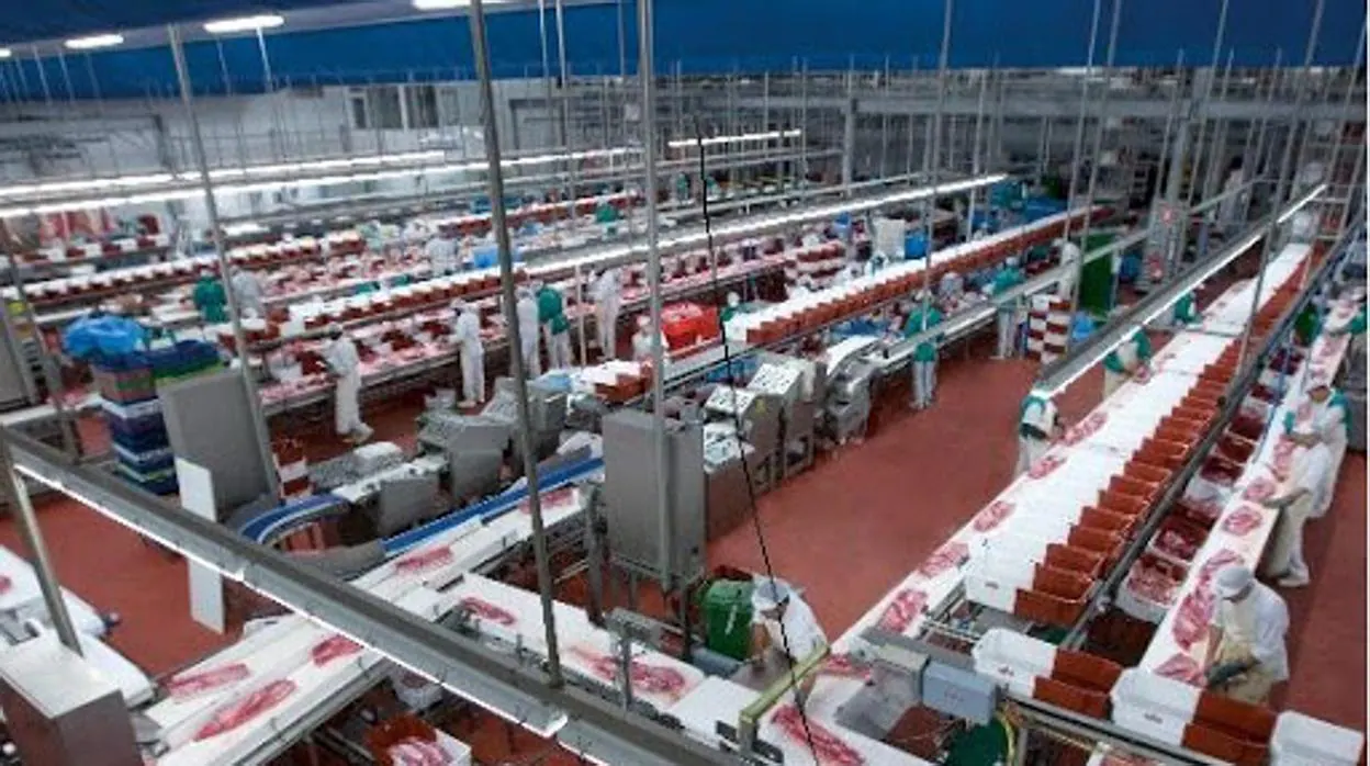 La planta que Litera Meat tiene en Binéfar dispone de130.000 metros cuadrados, con capacidad para sacrificar 160.000 cerdos a la semana