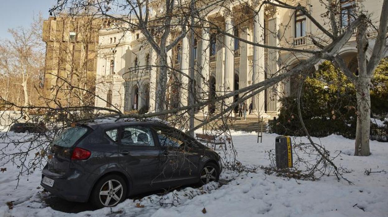 Un vehículo atrapado entre la nieve y las ramas de los árboles caídos junto al Palacio de la Bolsa de Madrid