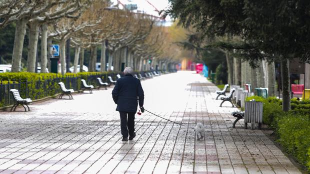 El Ayuntamiento de Valladolid no sancionará a quienes paseen a sus perros entre las 20 y 22 horas