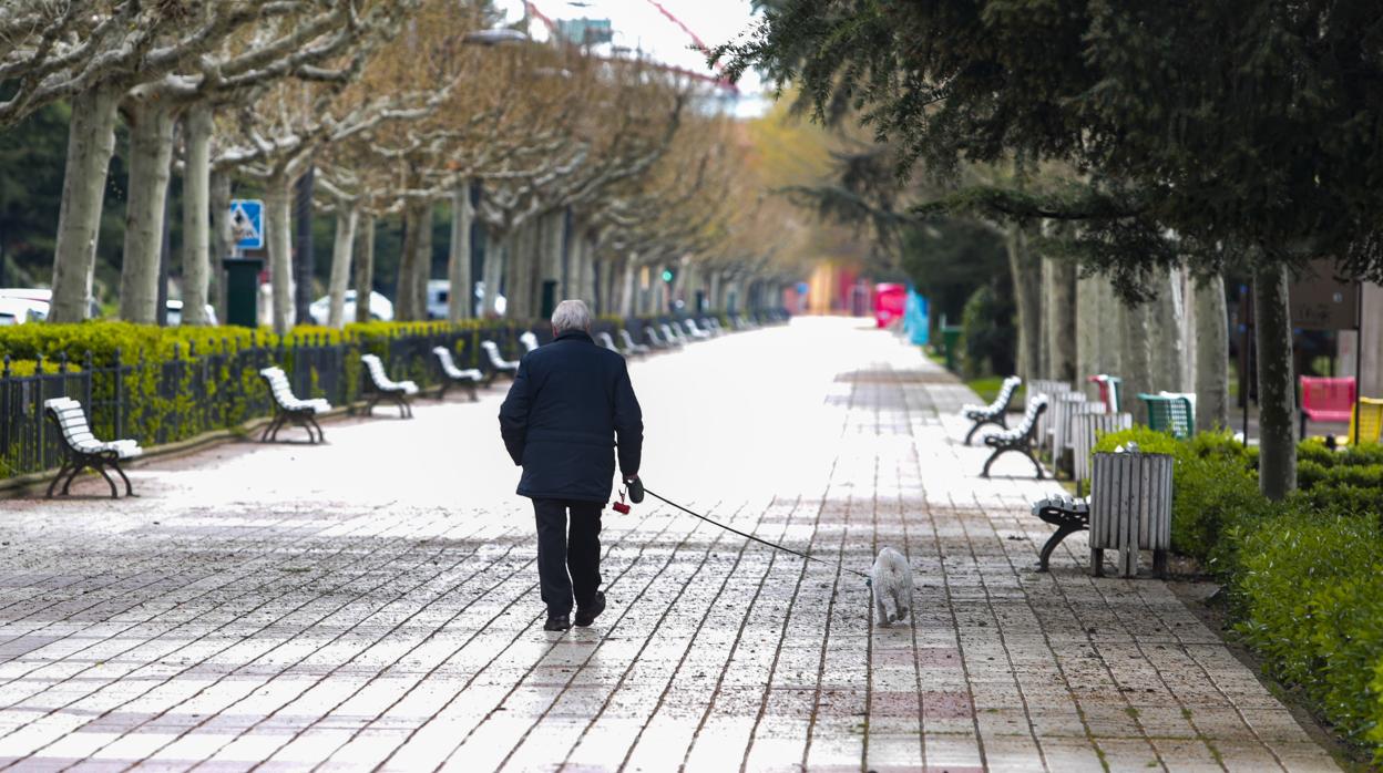 Un ciudadano pasea a su perro en una imagen de archivo