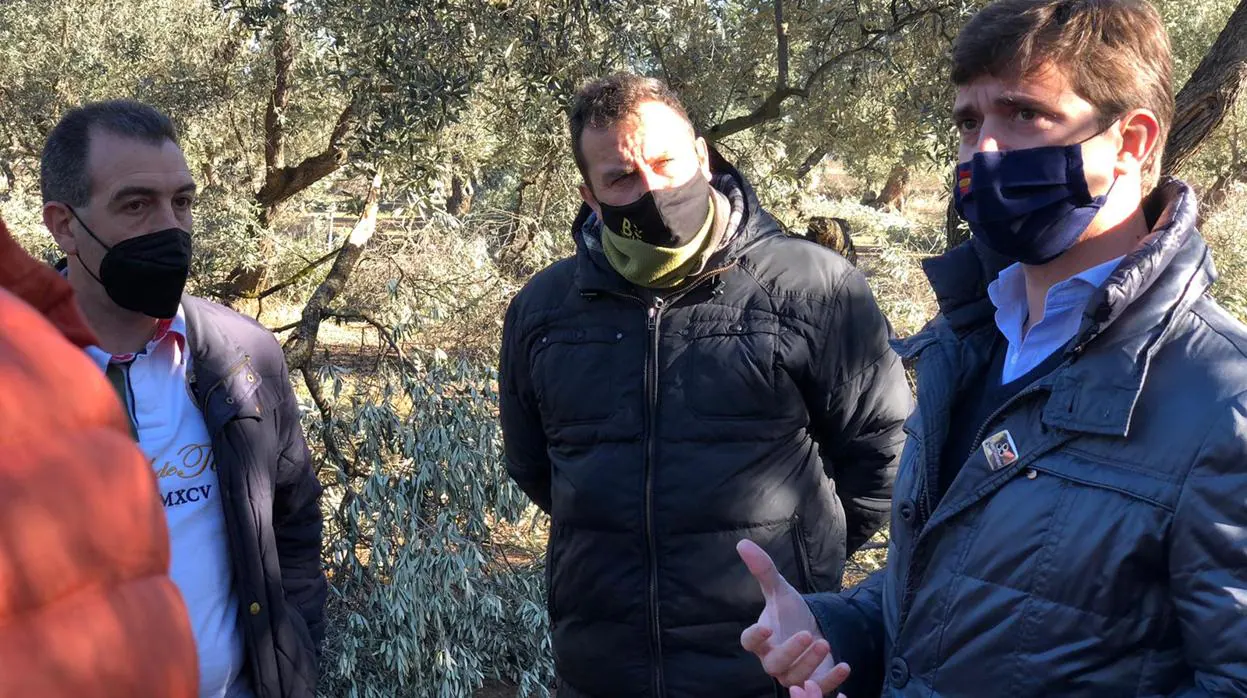El presidente del PP en la provincia de Zaragoza, Ramón Celma (primero por la derecha), visitó este martes los campos de olivos de Belchite, dañados por la histórica nevada del temporal Filomena