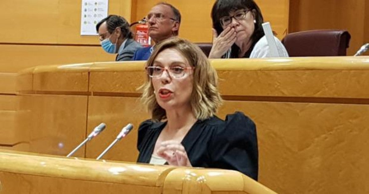 La senadora del Partido Popular por Navarra, Amelia Salanueva.