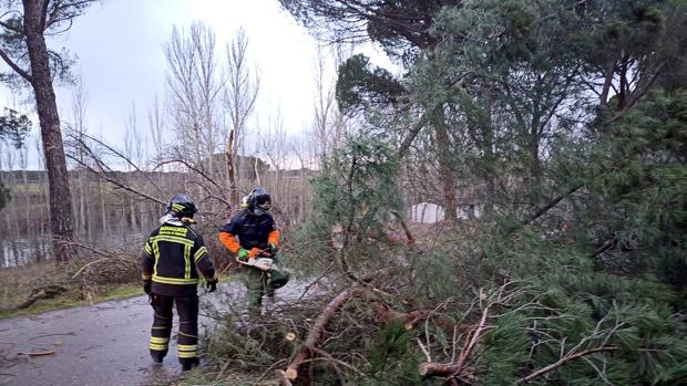 Consejos para evitar accidentes en días de viento