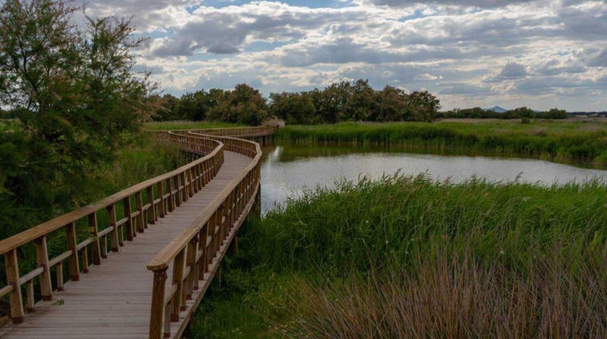 Los municipios cercanos a Cabañeros y Las Tablas de Daimiel se podrán beneficiar de estas ayudas