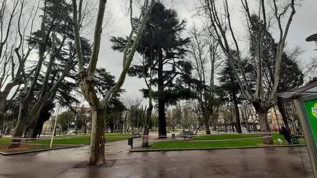 Salamanca cierra varios parques de la ciudad ante la previsión de fuertes rachas de viento