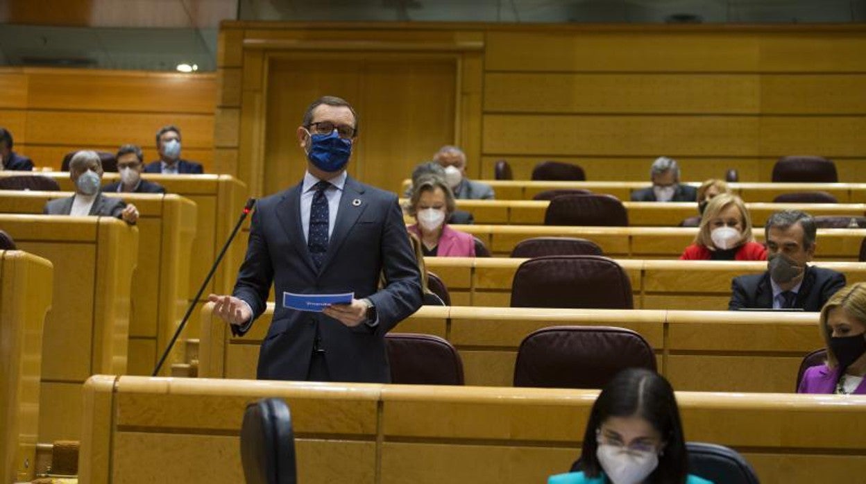 El portavoz del PP, Javier Maroto, preguntando a la ministra de Sanidad, Carolina Darias, esta tarde en el Pleno del Senado