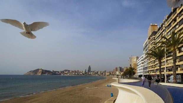 El invierno más largo de Benidorm: la capital del turismo sufre la mayor crisis de su historia por el coronavirus