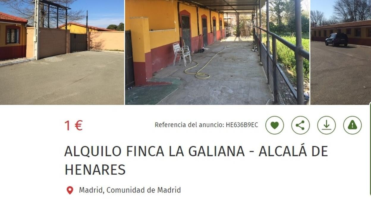 Anuncio de la finca, en una página web de alquileres