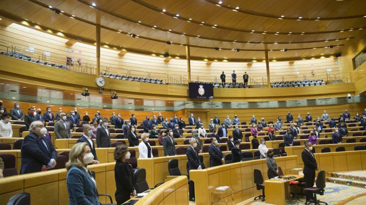 Minuto de silencio antes de iniciar una sesión de control en el Senado