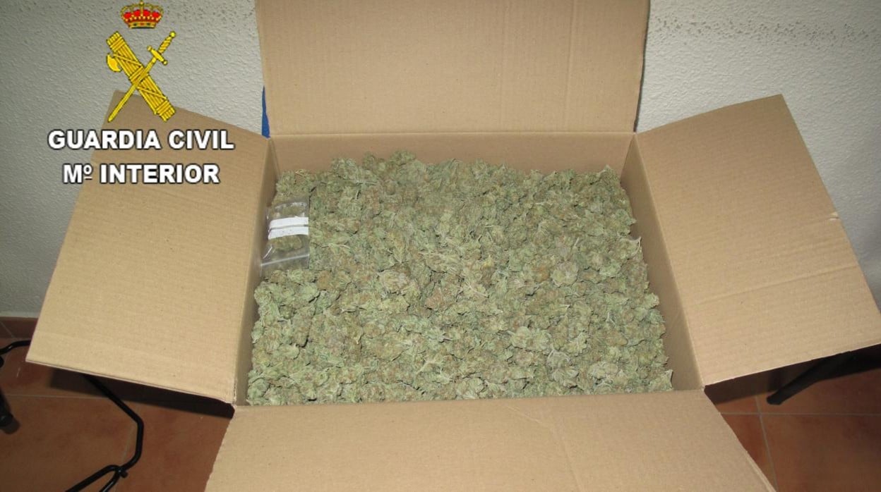 Caja de cartón con 2.700 gramos de marihuana en cogollo