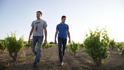 Los mejores vinos de Castilla-La Mancha elaborados con uvas autóctonas minoritarias