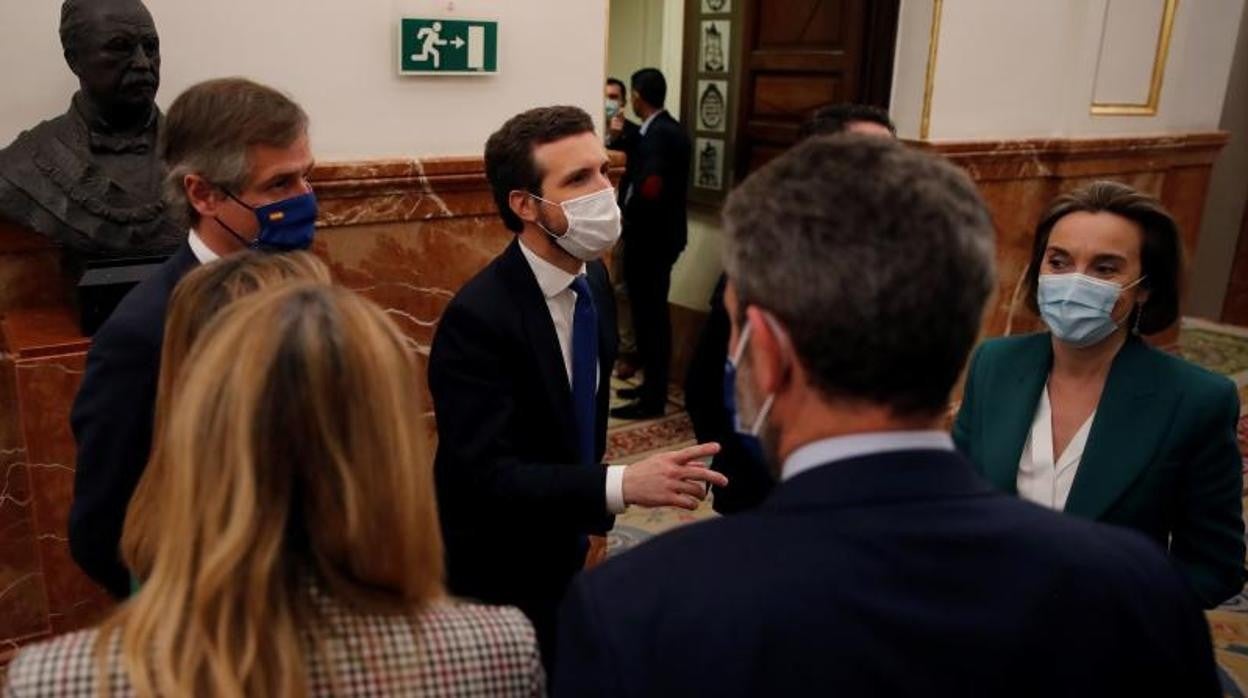 El presidente del PP, Pablo Casado, en el Congreso de los Diputados